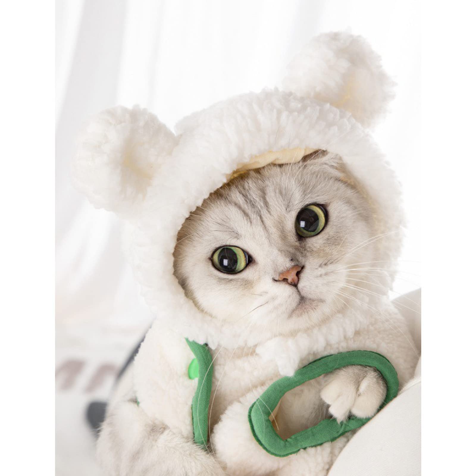 CAT様専用 CAT様専用ページ CAT様専用 CAT様専用ページ